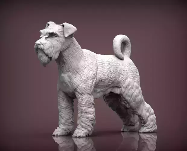 schnauzer dog 3D print model