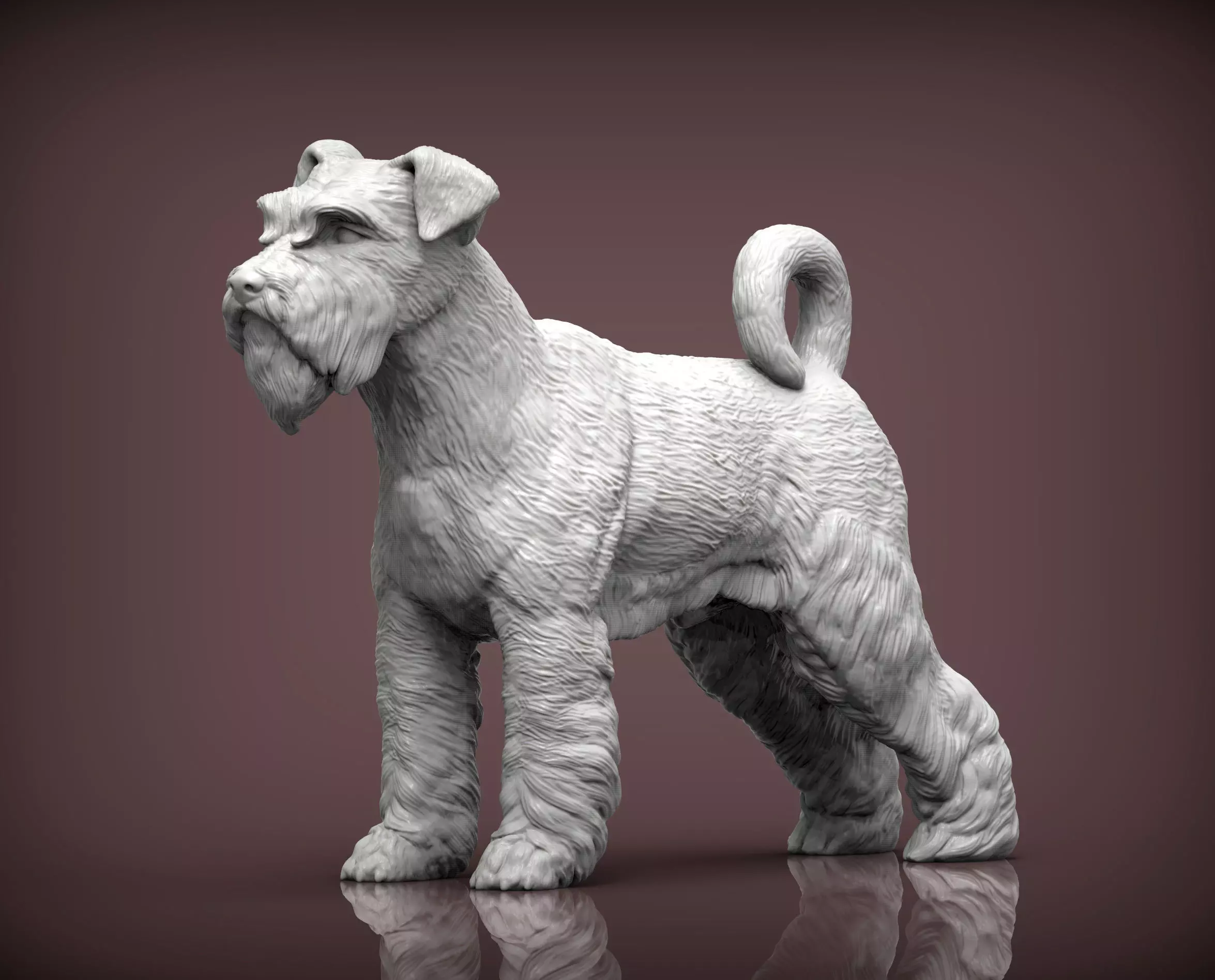 schnauzer dog 3D print model