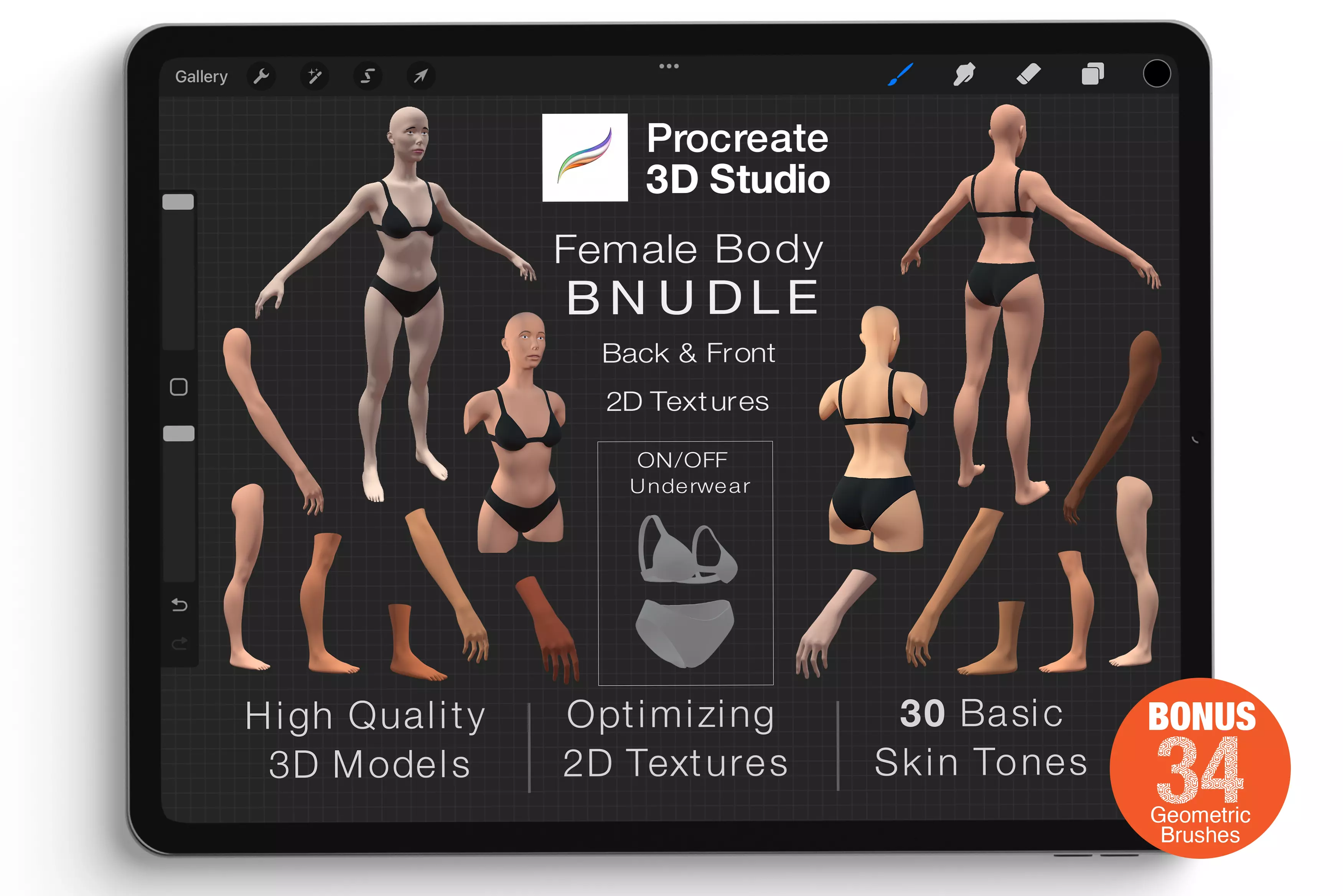 Procreate 3d Model - Female Bundle 3D model_0