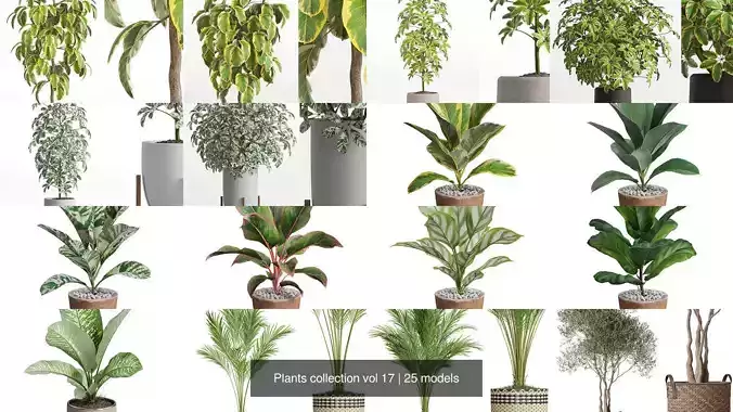 Plants collection vol 17