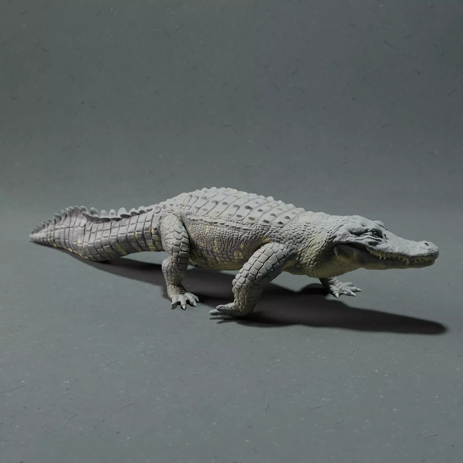 American Alligator 3D print model_0