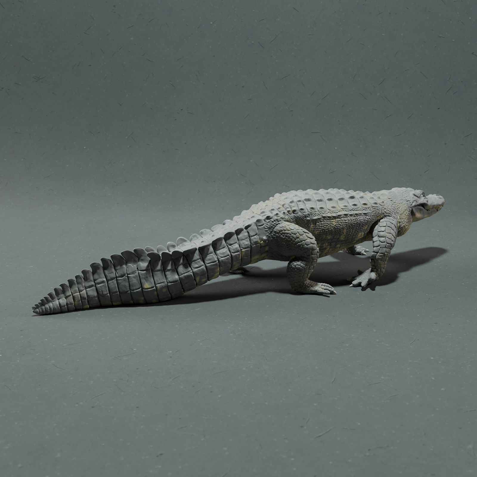 American Alligator 3D print model_2
