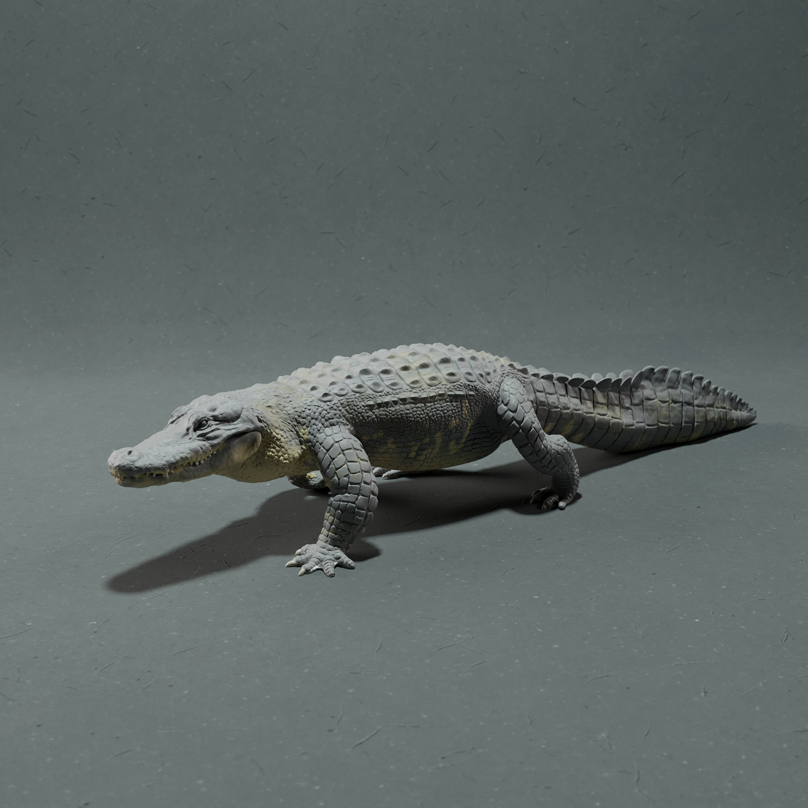 American Alligator 3D print model_3