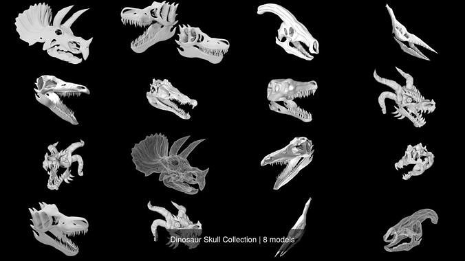 Dinosaur Skull Collection 