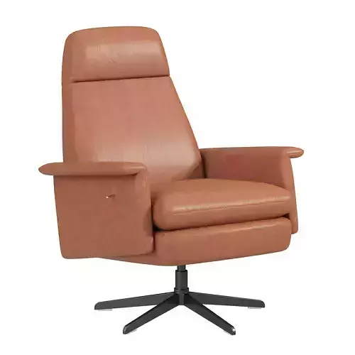 Crescent Leather Swivel