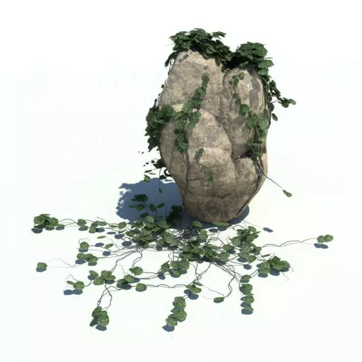 Granite Rock With Green Leafs And Blue Flower 3D model_0
