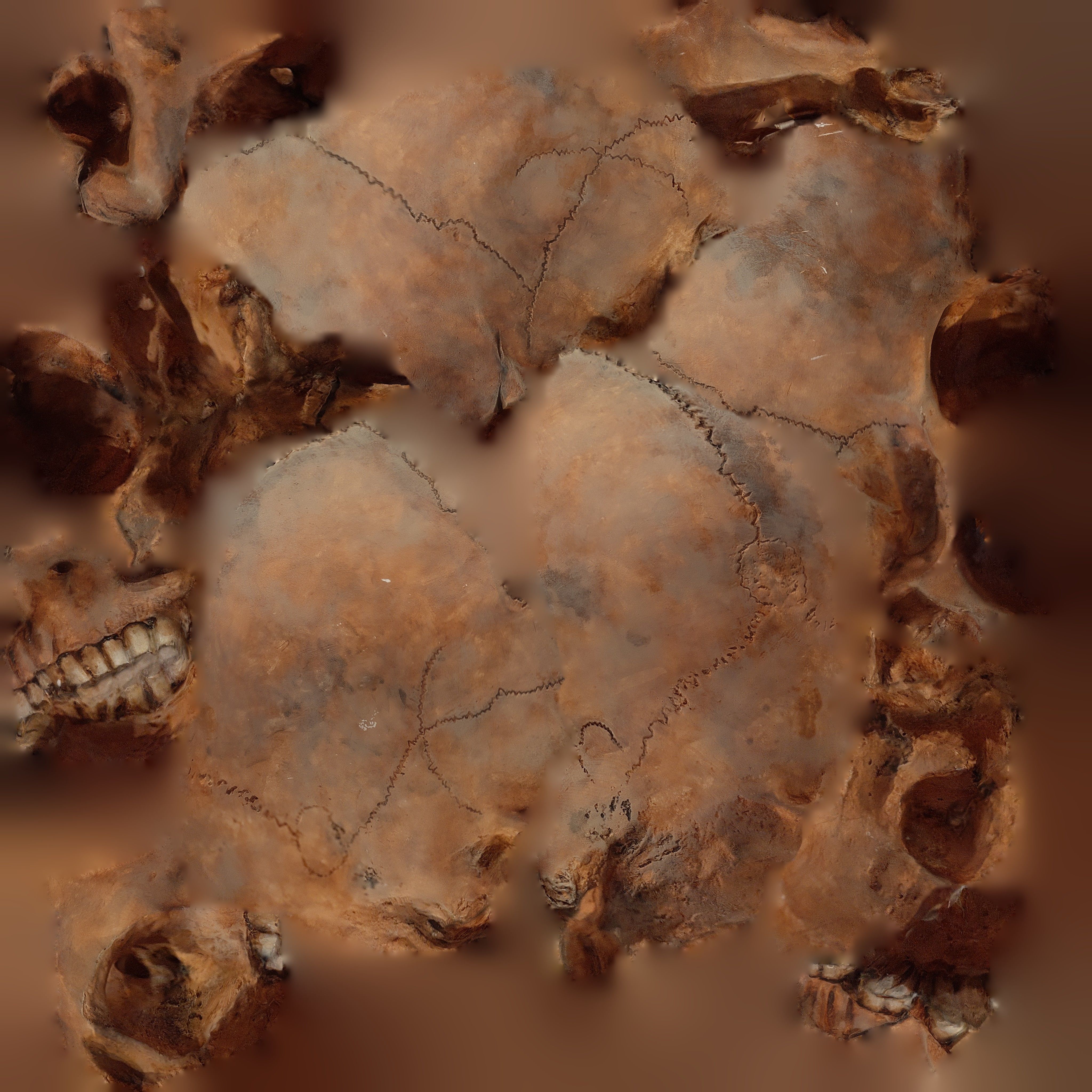 Skull human 3D model_7