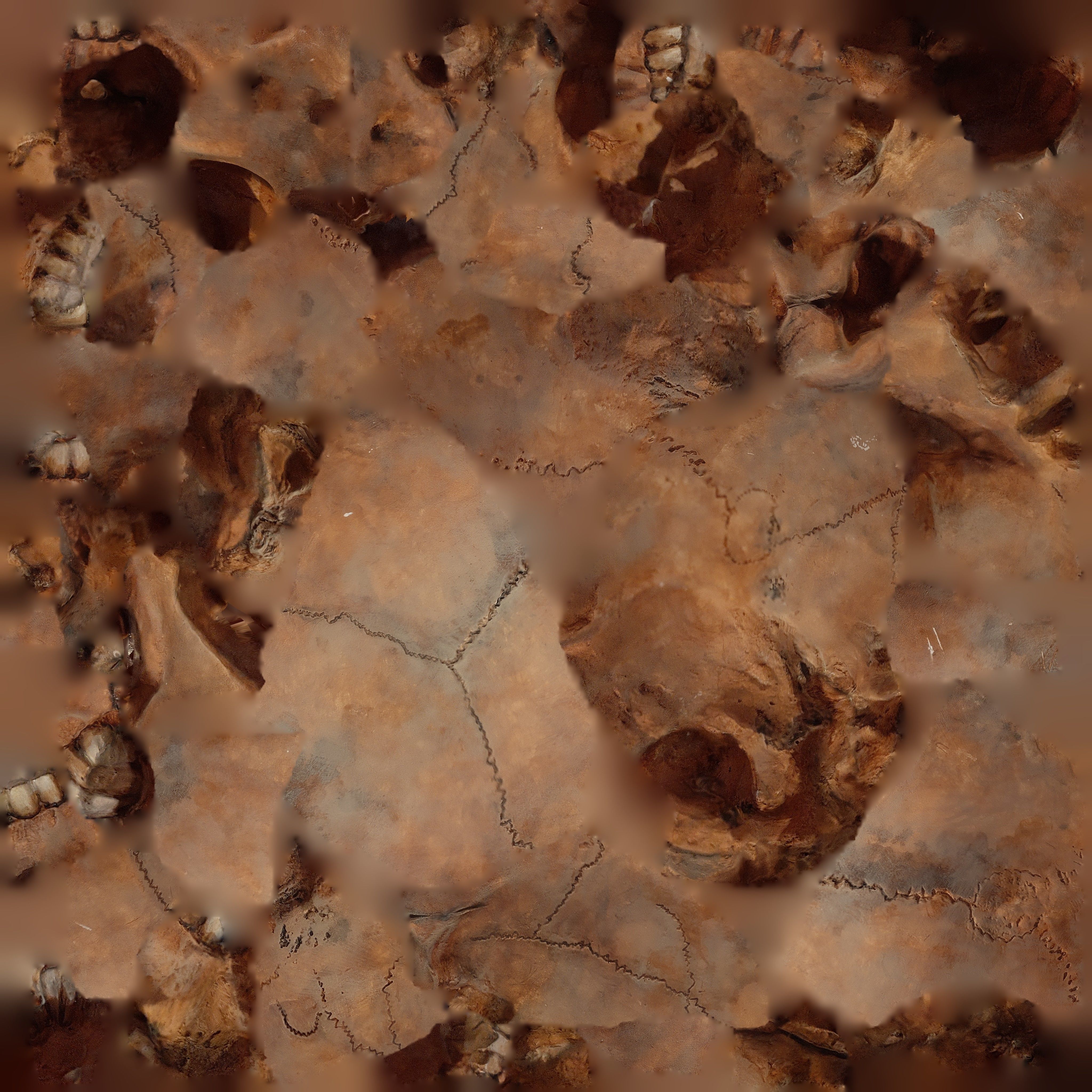 Skull human 3D model_6