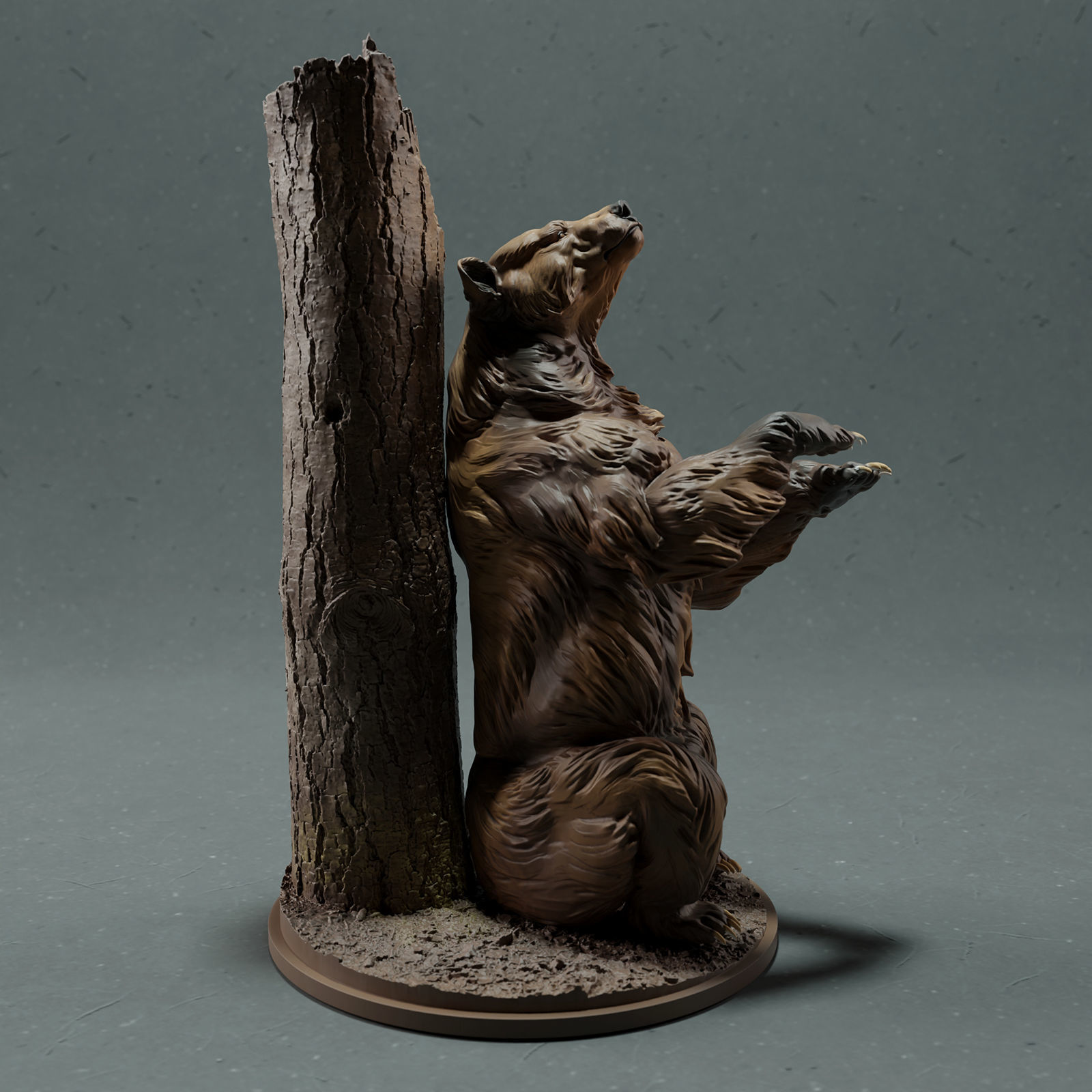 Grizzly Bear - Scratching  3D print model_3