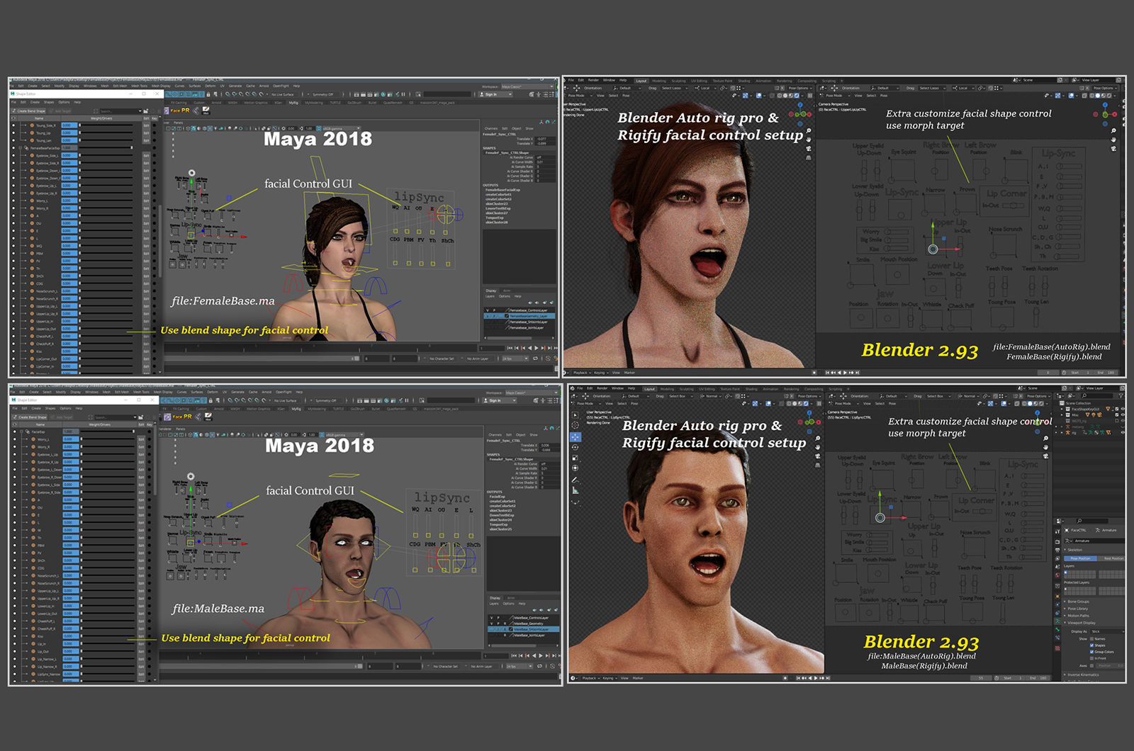 Male Female Base Rig  Low-poly 3D model_24