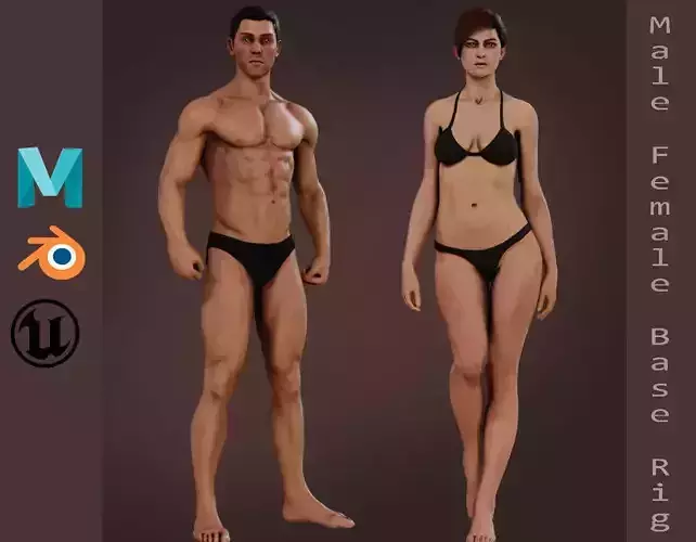 Male Female Base Rig  Low-poly 3D model