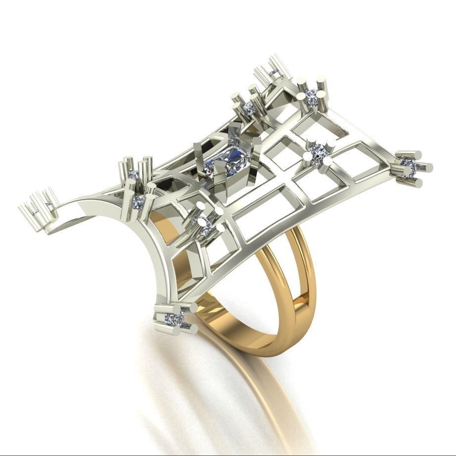 A set of 24 designed rings ready for manufacturing 3D print model_111