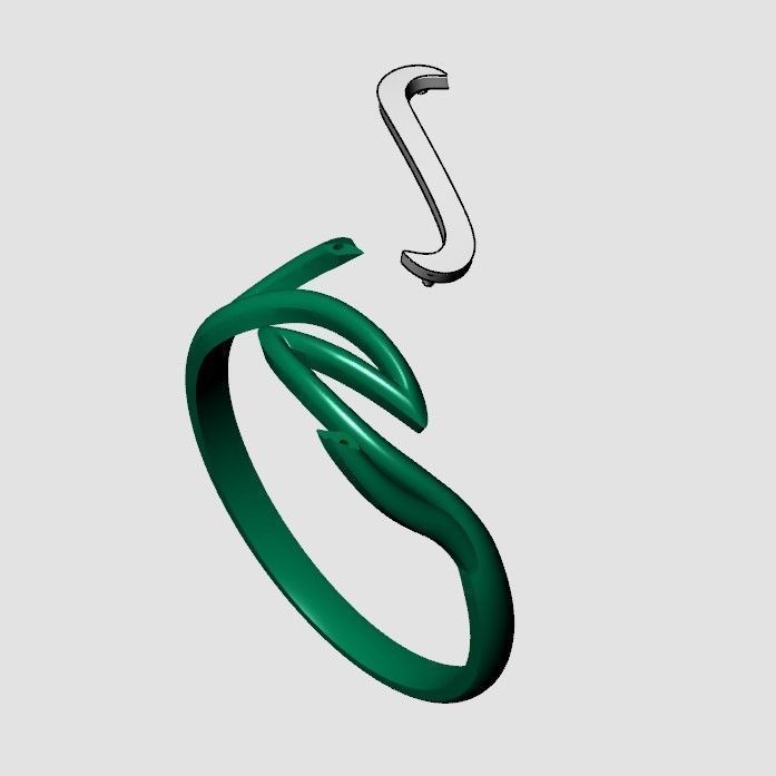 A set of 24 designed rings ready for manufacturing 3D print model_60