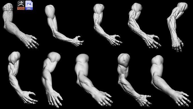 human and monster arms 3D model