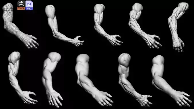 human and monster arms