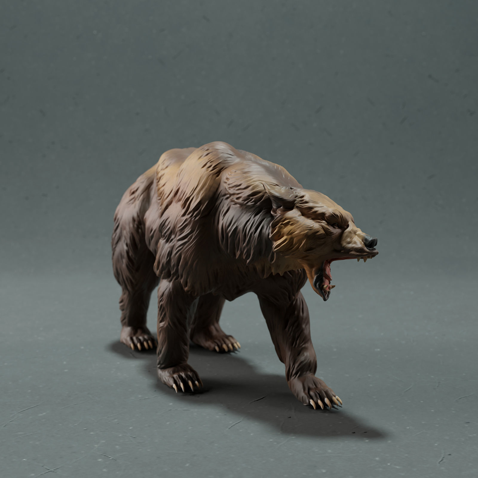 Grizzly Bear 3D print model_3