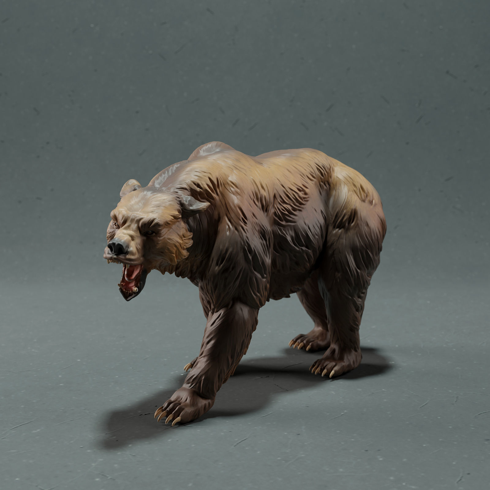 Grizzly Bear 3D print model_2