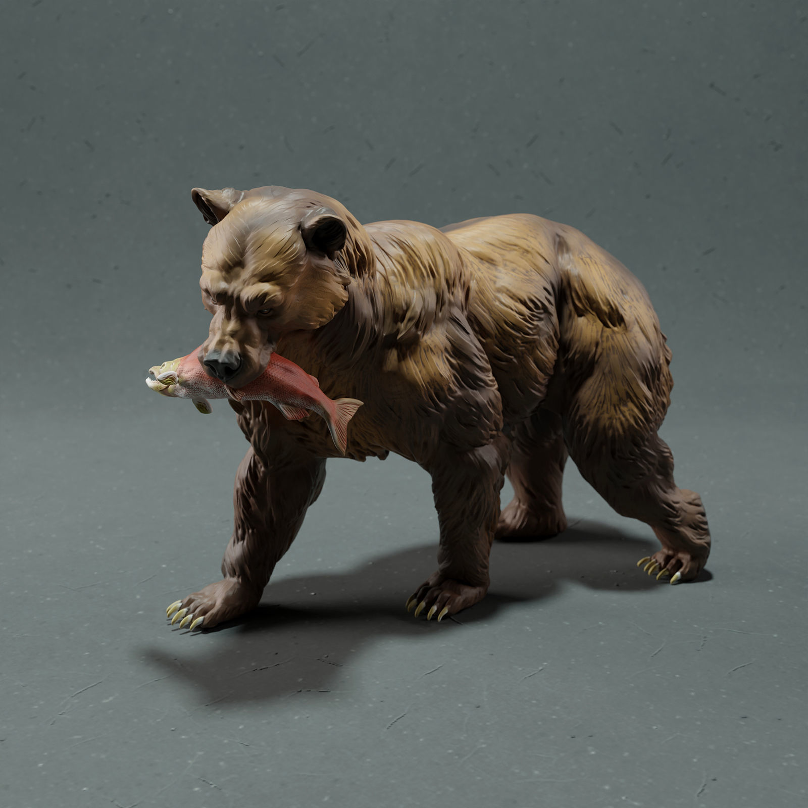 Grizzly Bear  3D print model_2