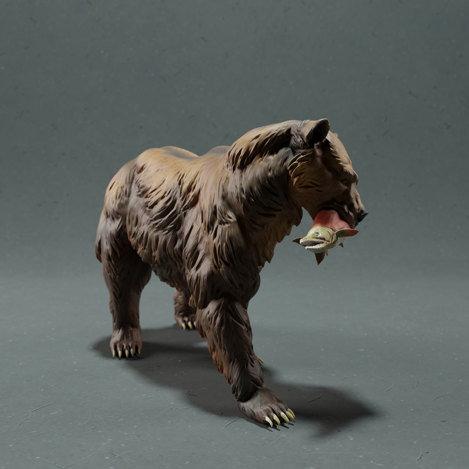 Grizzly Bear  3D print model_3