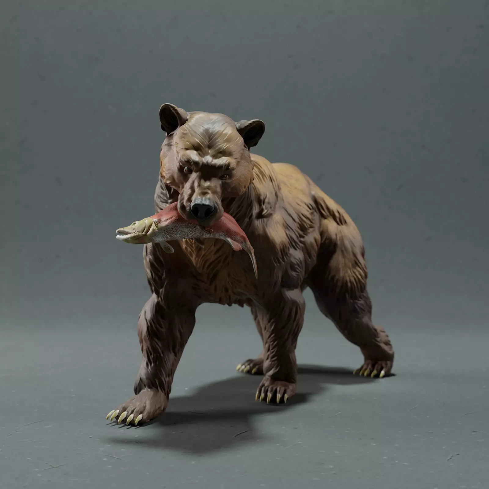 Grizzly Bear  3D print model_0