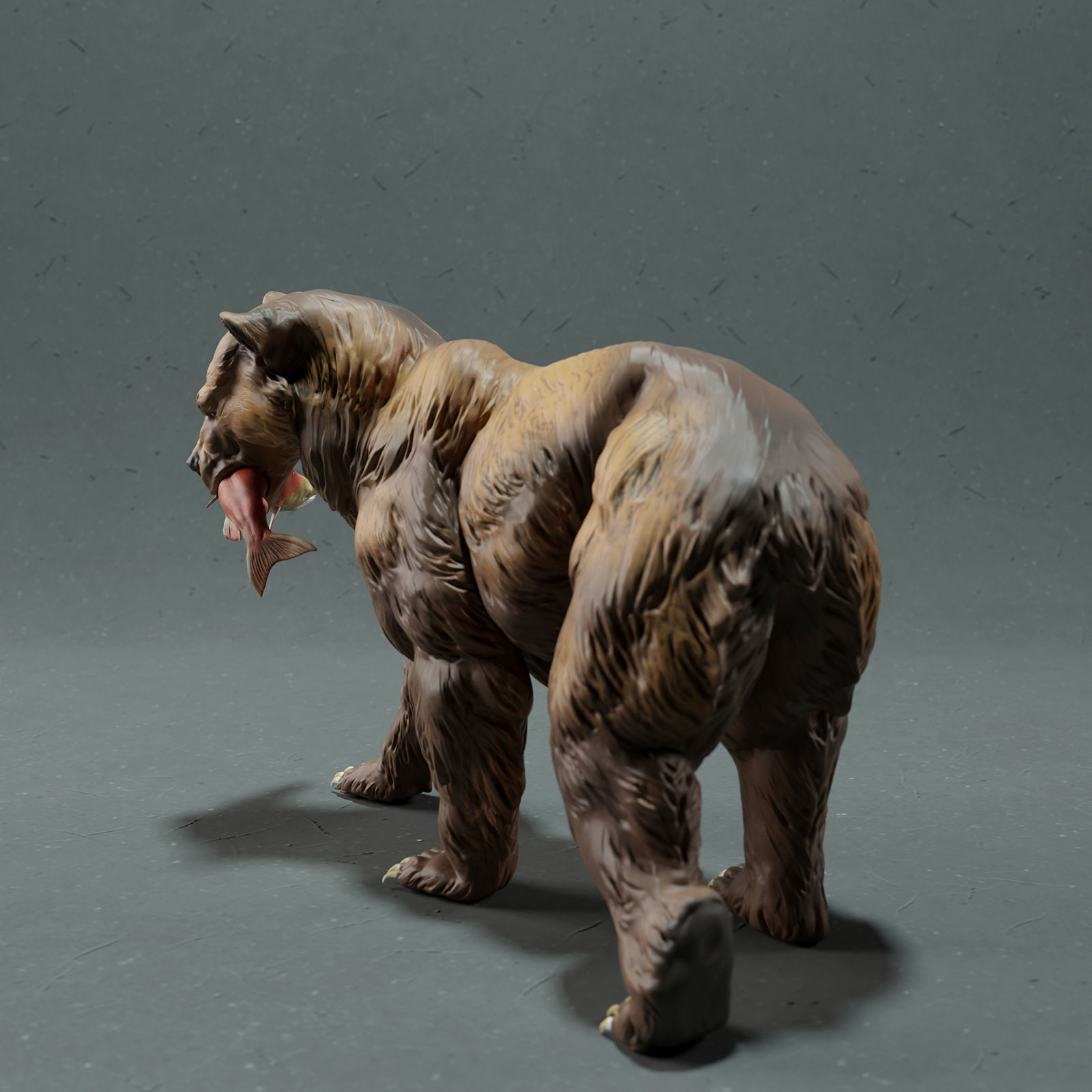 Grizzly Bear  3D print model_4
