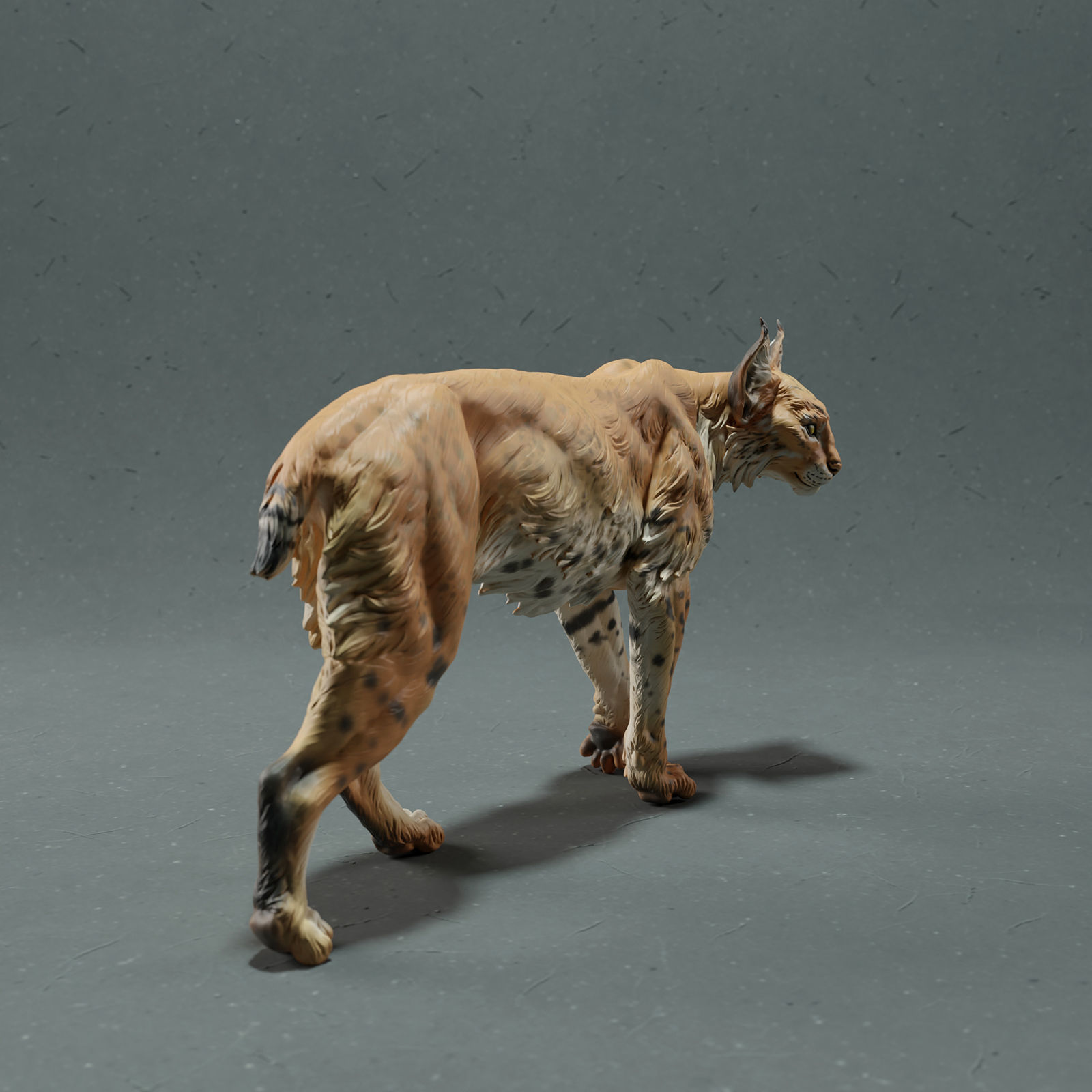 Bobcat- Lynx 3D print model_2