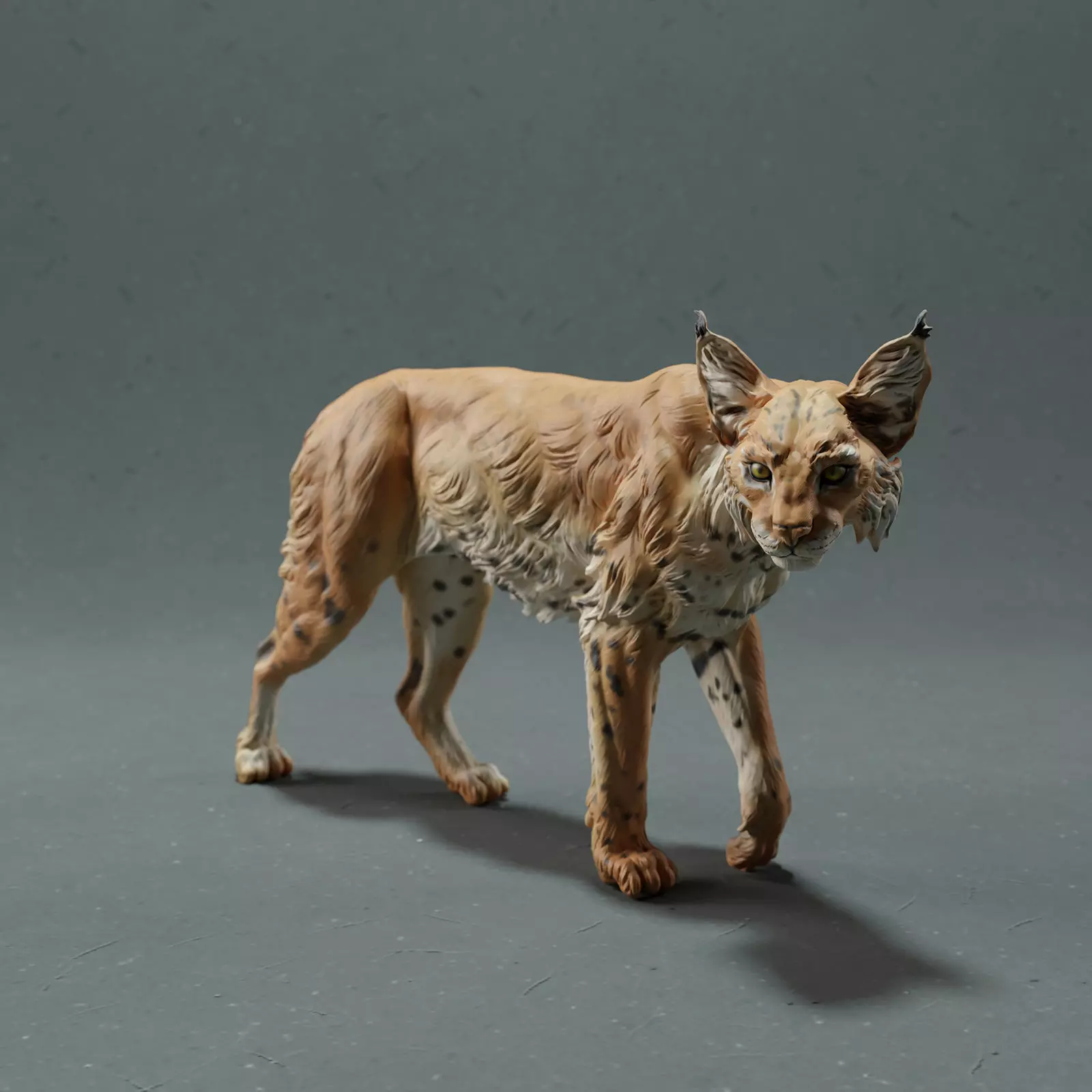 Bobcat- Lynx 3D print model_0