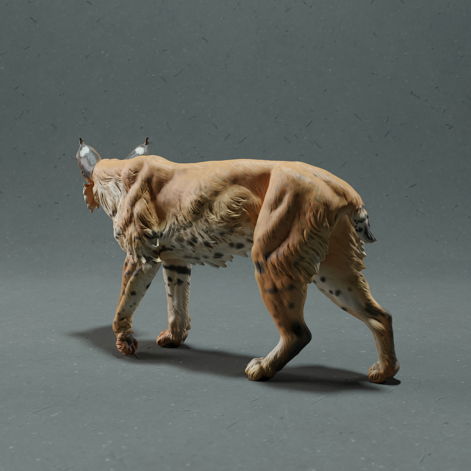 Bobcat- Lynx 3D print model_3