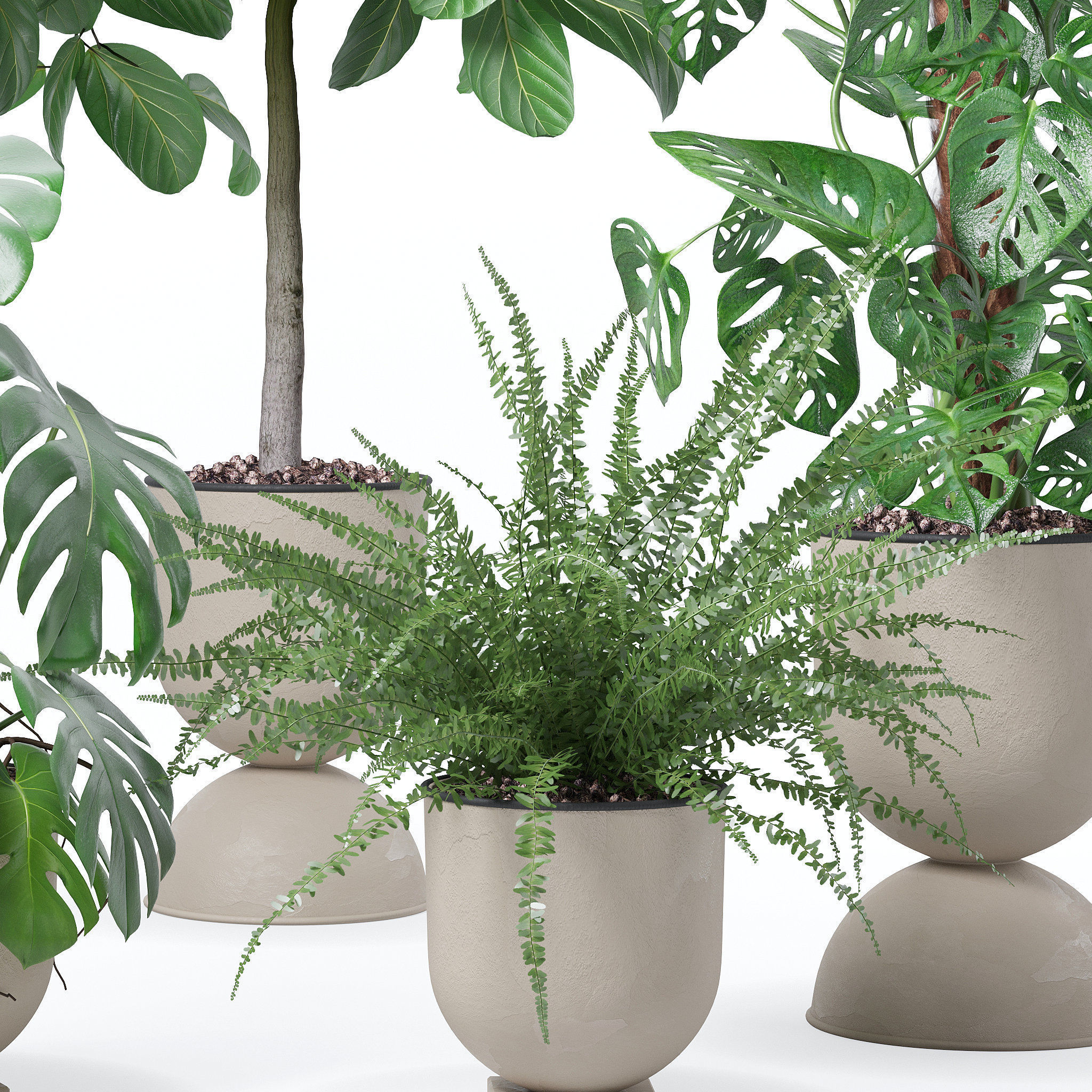 20 Photorealistic Flowers for Interiors - set 118 127 132 133 3D Model Collection_20