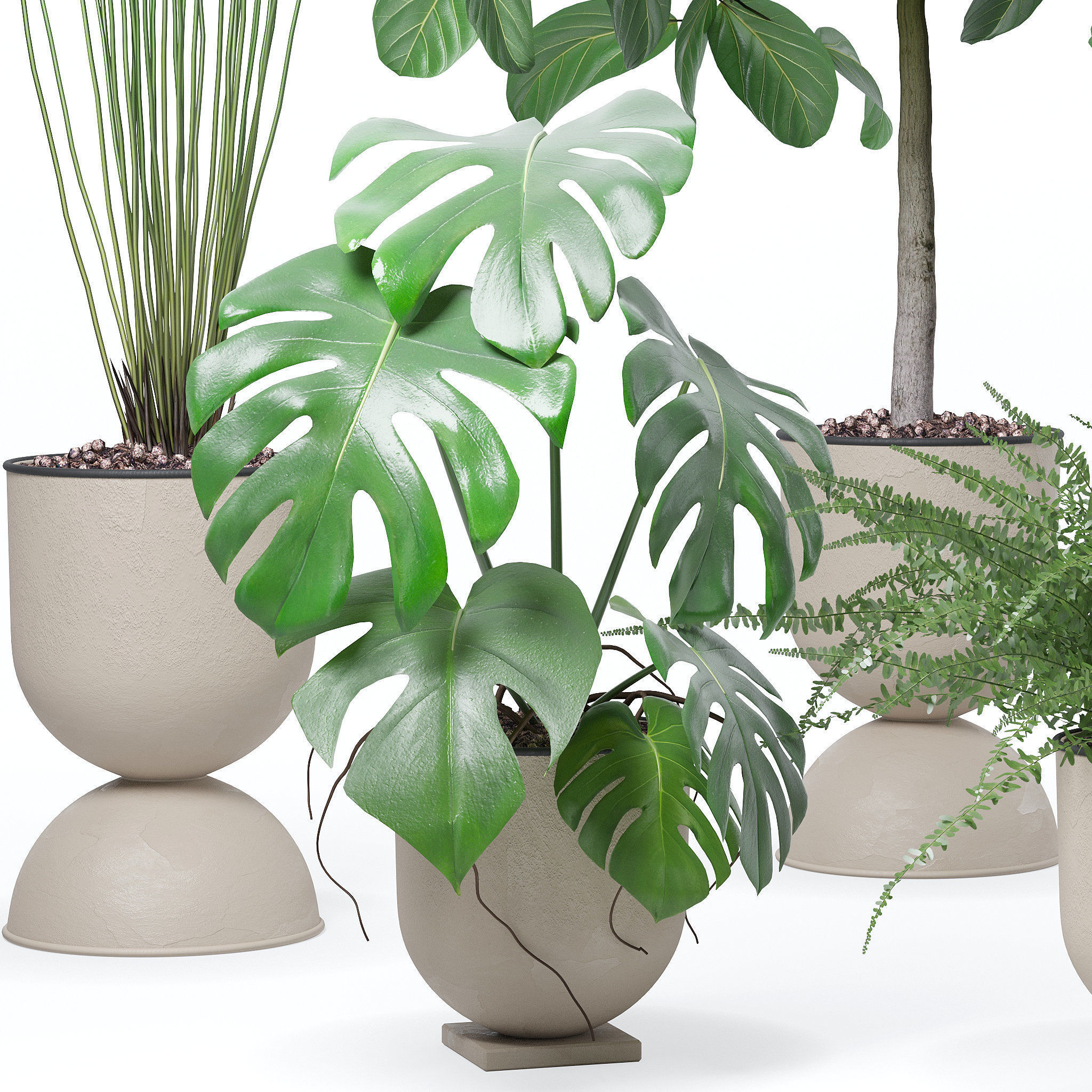 20 Photorealistic Flowers for Interiors - set 118 127 132 133 3D Model Collection_22