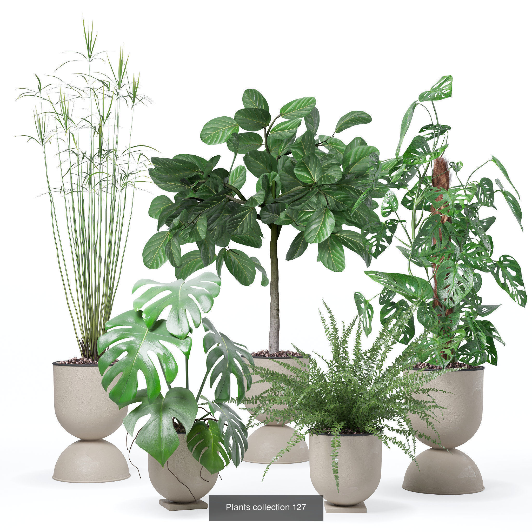 20 Photorealistic Flowers for Interiors - set 118 127 132 133 3D Model Collection_2