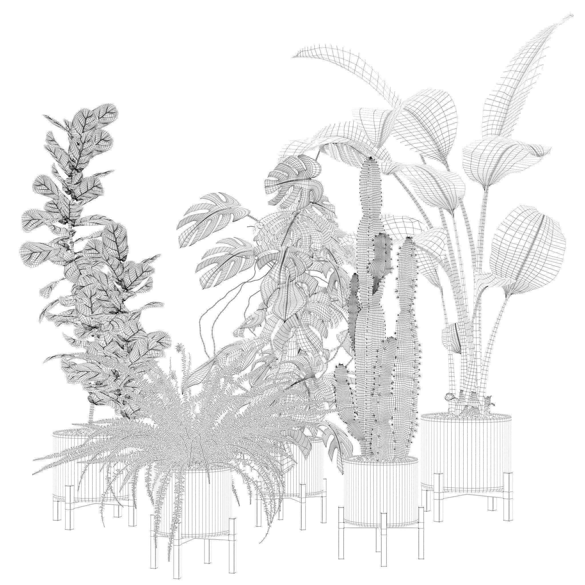 20 Photorealistic Flowers for Interiors - set 118 127 132 133 3D Model Collection_11