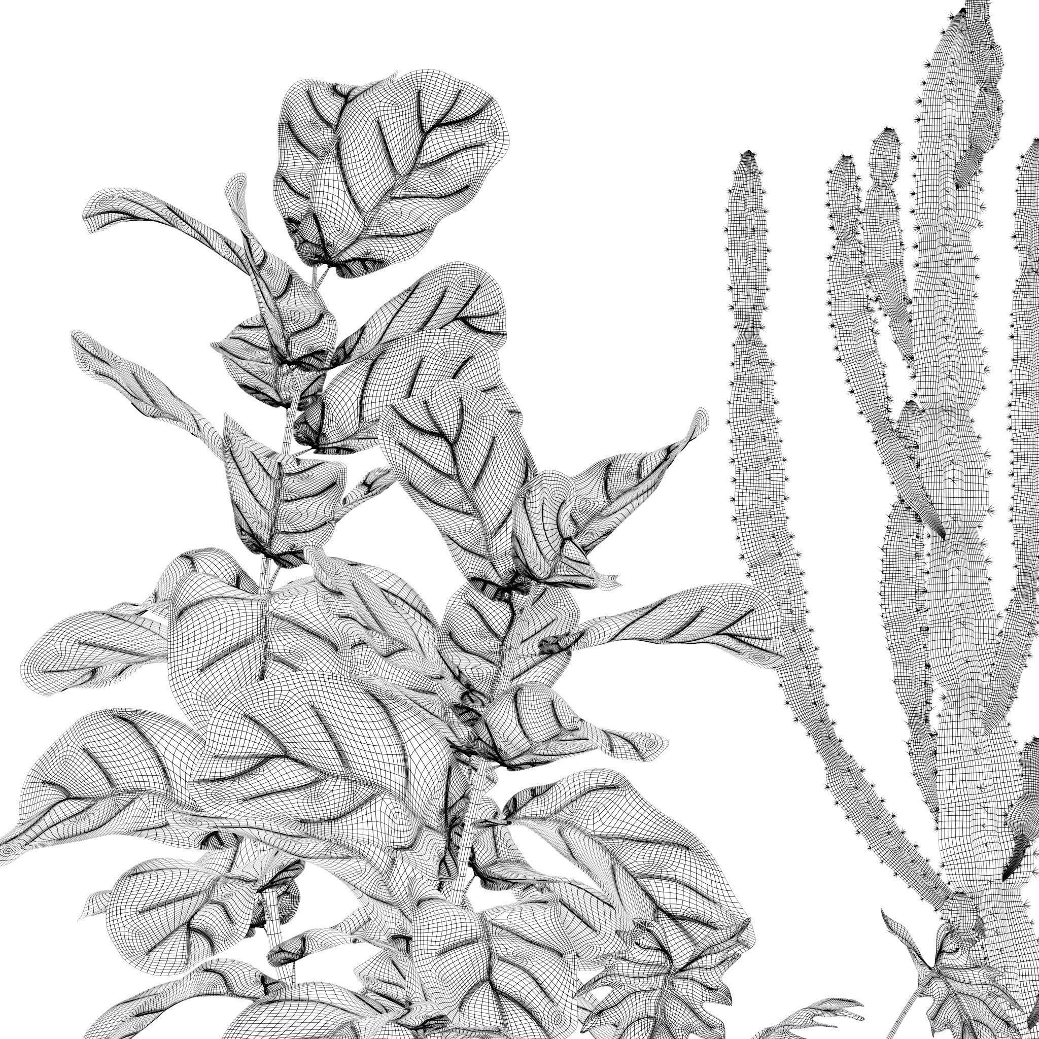 20 Photorealistic Flowers for Interiors - set 118 127 132 133 3D Model Collection_44