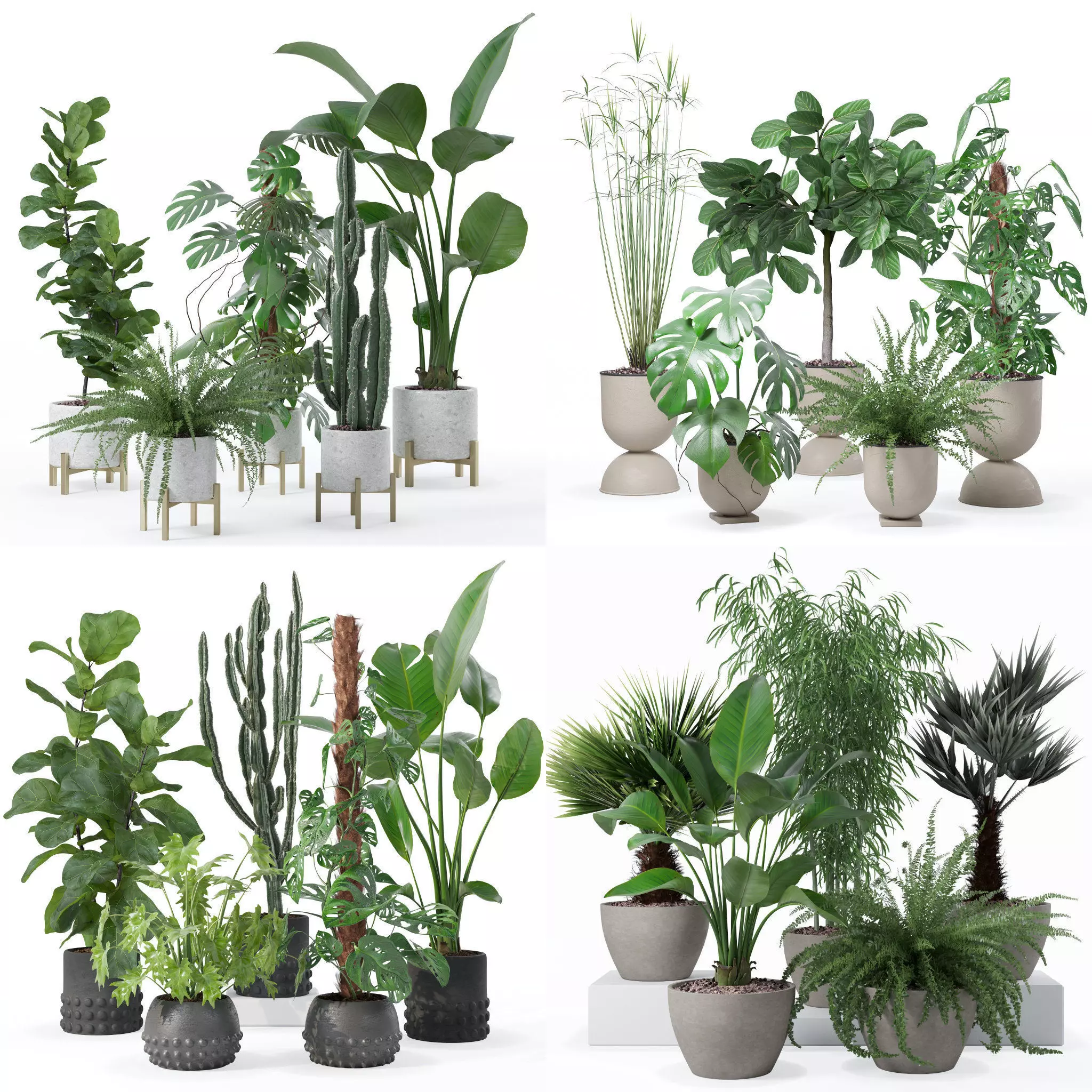 20 Photorealistic Flowers for Interiors - set 118 127 132 133 3D Model Collection_0