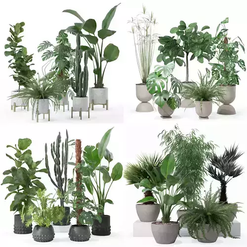 20 Photorealistic Flowers for Interiors - set 118 127 132 133 3D Model Collection