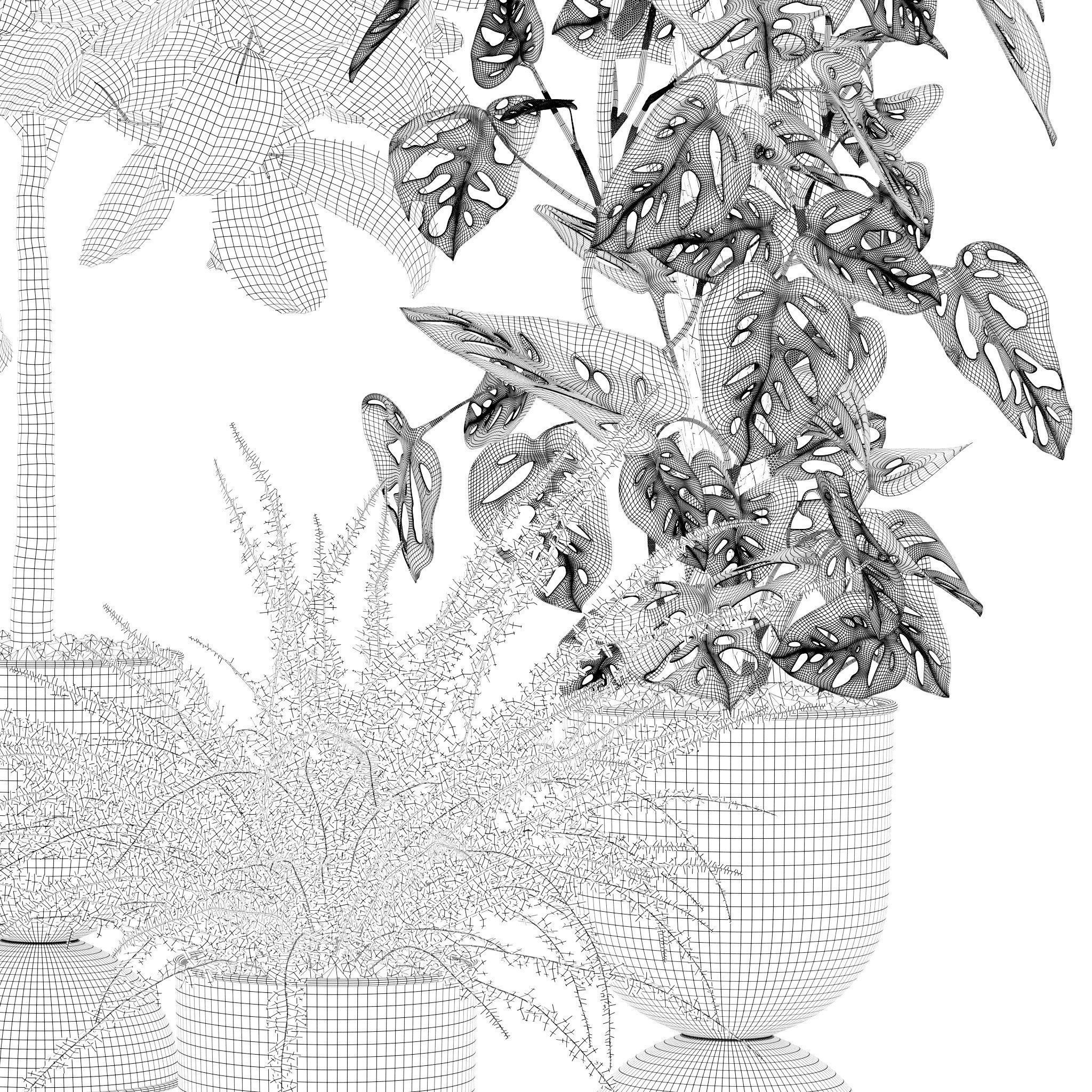 20 Photorealistic Flowers for Interiors - set 118 127 132 133 3D Model Collection_24