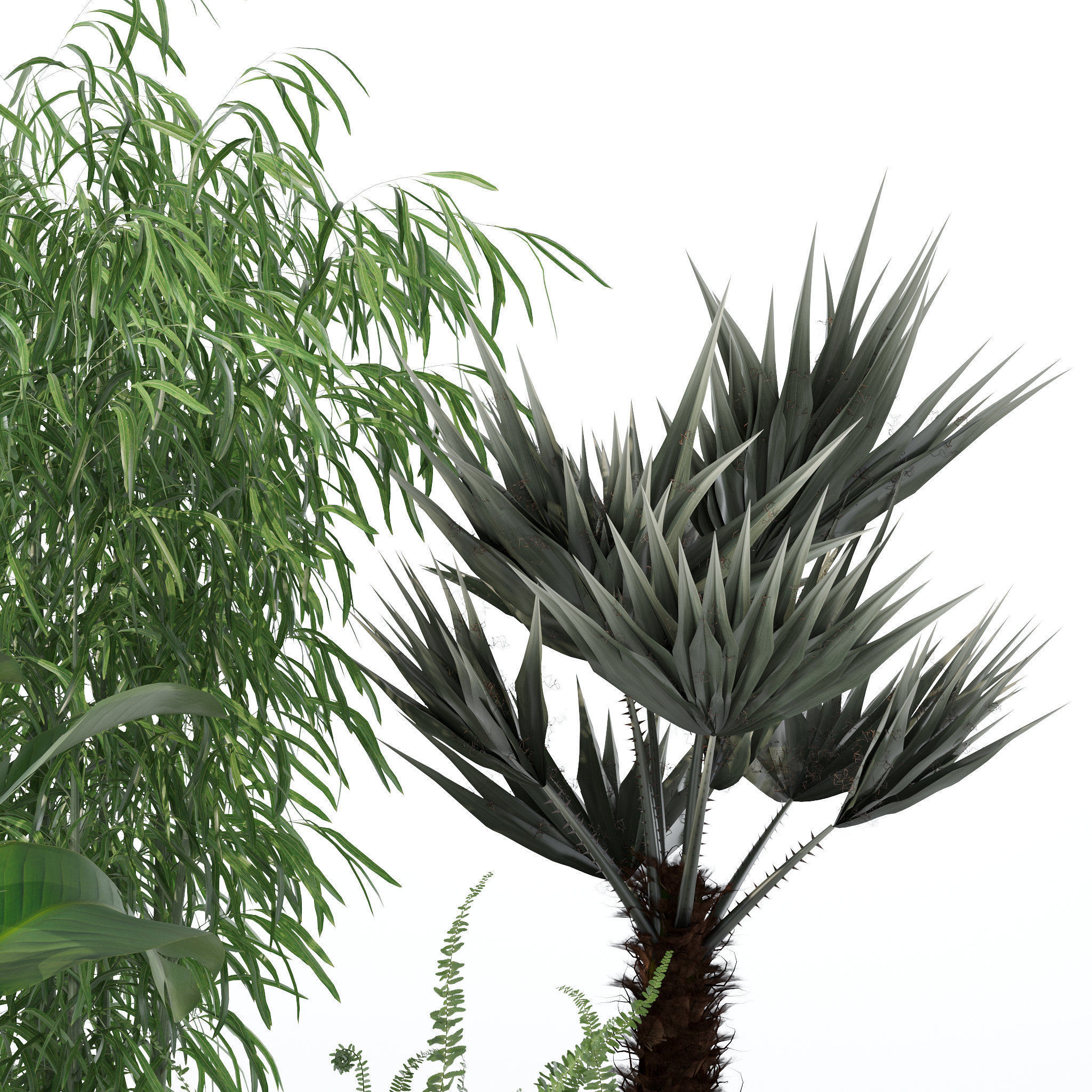 20 Photorealistic Flowers for Interiors - set 118 127 132 133 3D Model Collection_29