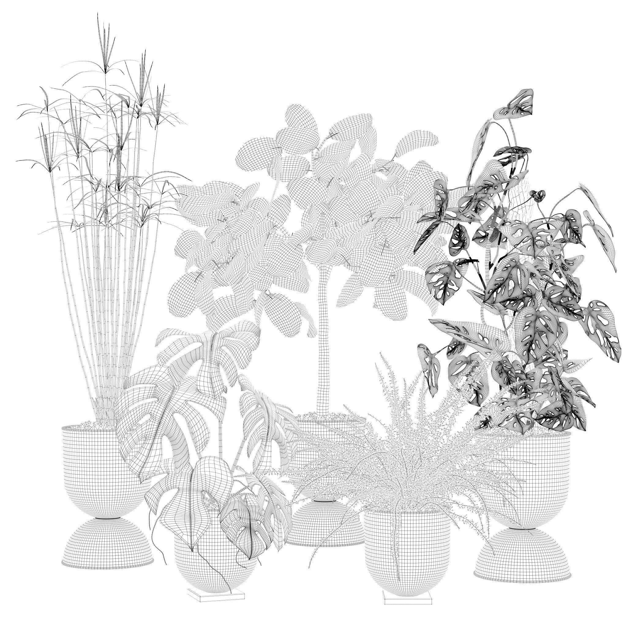 20 Photorealistic Flowers for Interiors - set 118 127 132 133 3D Model Collection_23