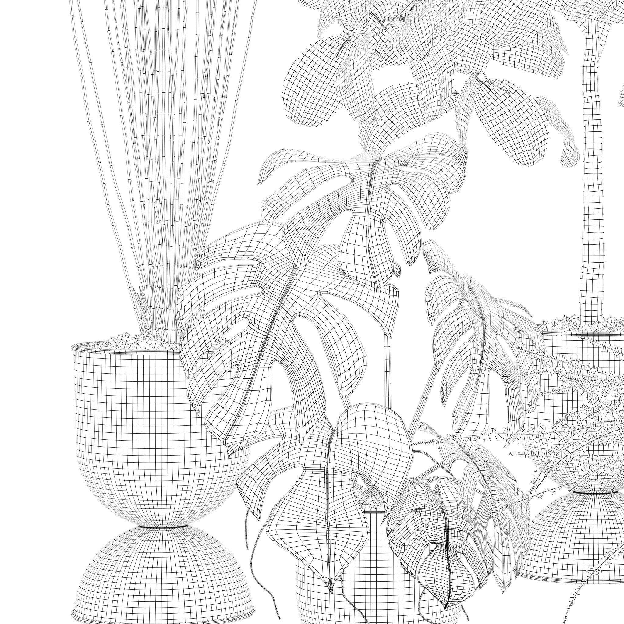 20 Photorealistic Flowers for Interiors - set 118 127 132 133 3D Model Collection_18