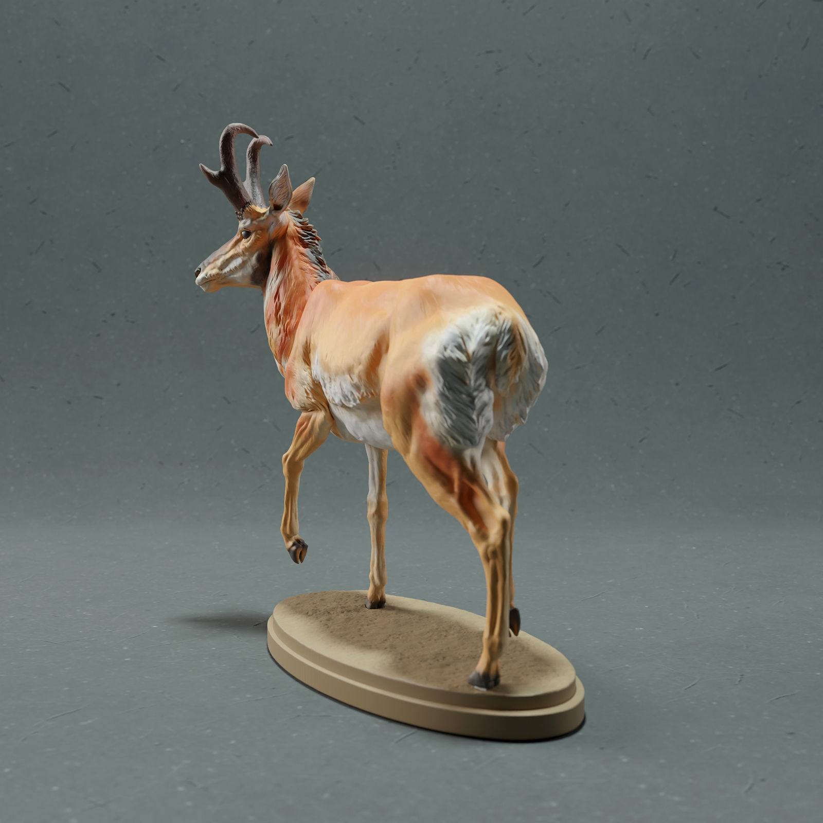 Pronghorn Antelope - Male 3D print model_3
