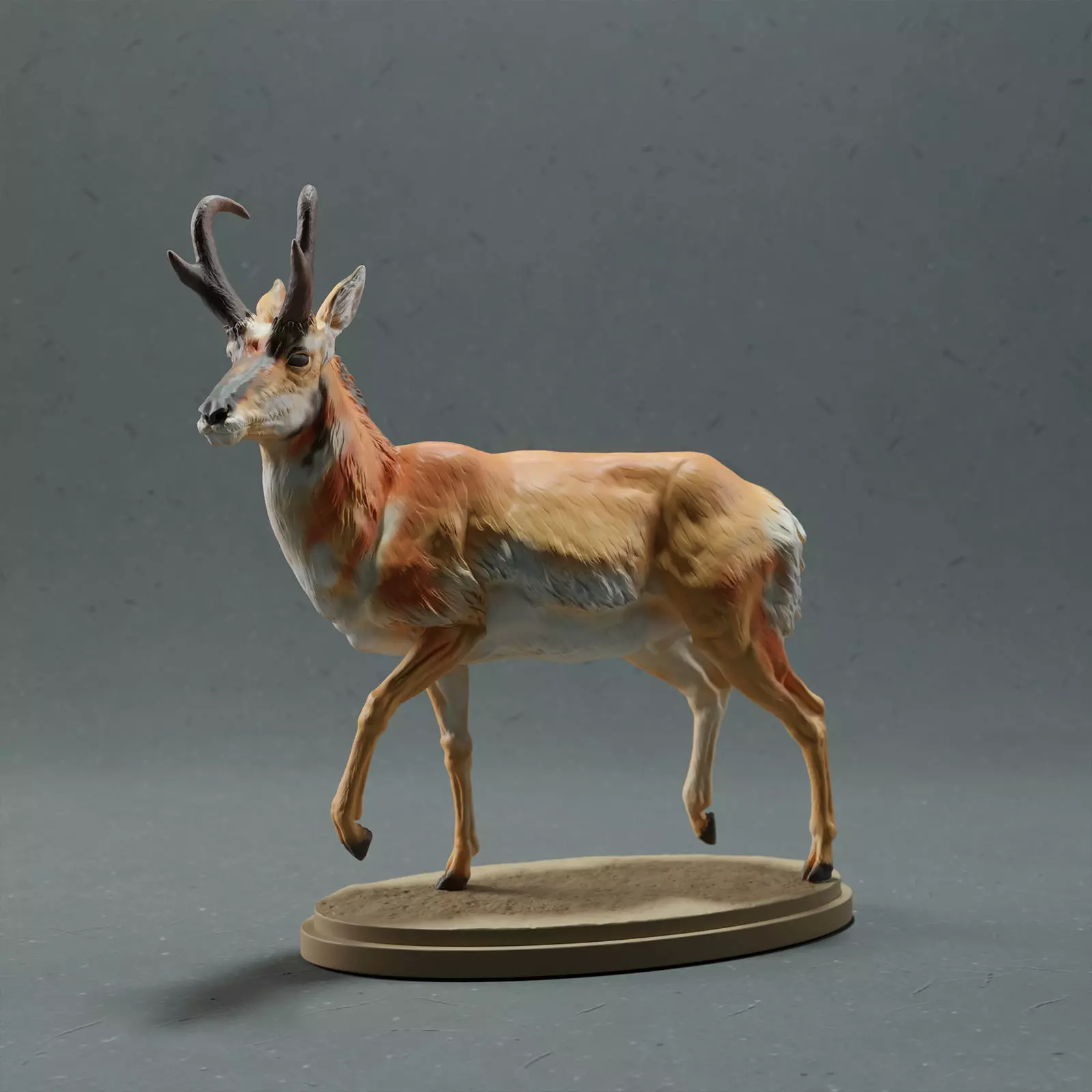 Pronghorn Antelope - Male 3D print model_0
