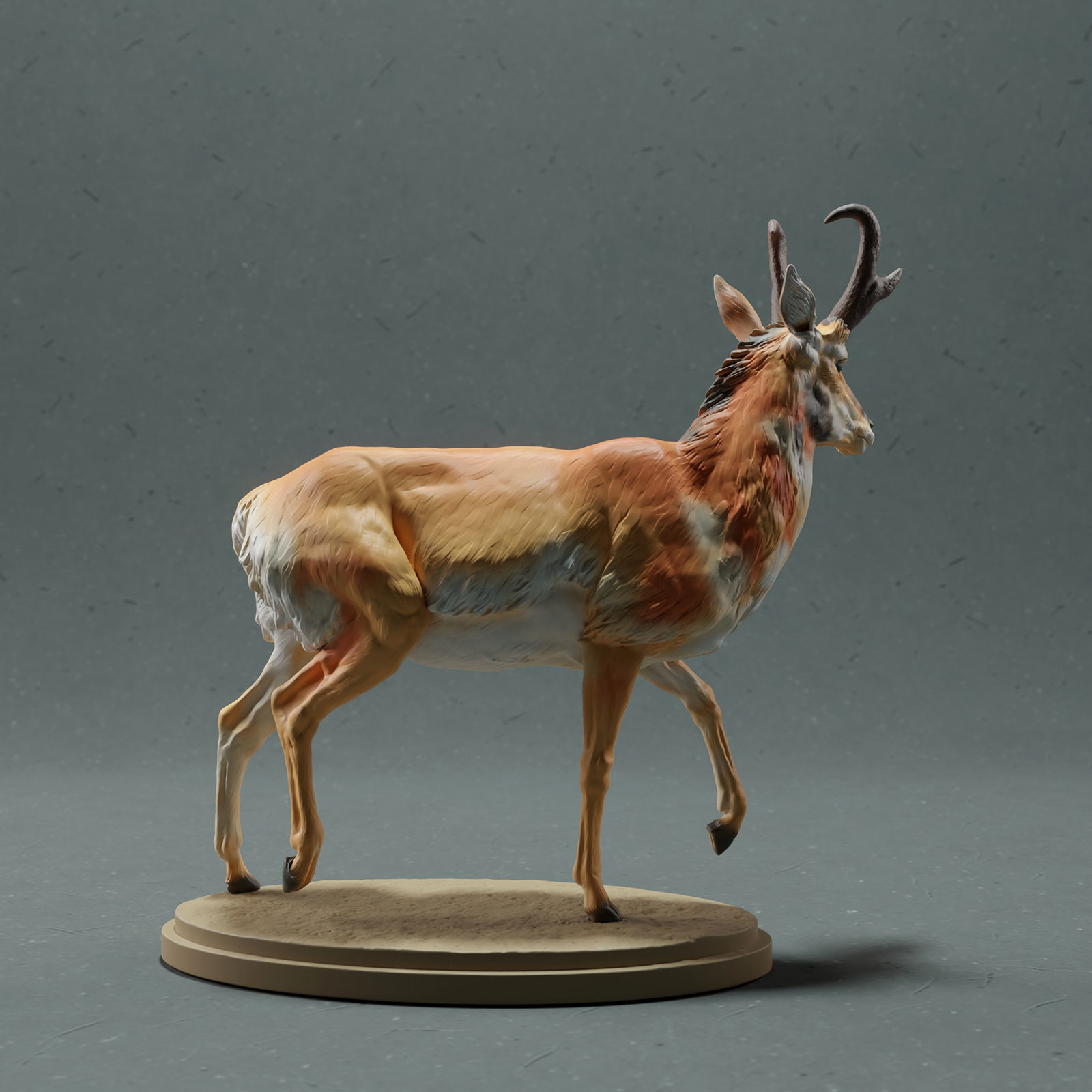 Pronghorn Antelope - Male 3D print model_2