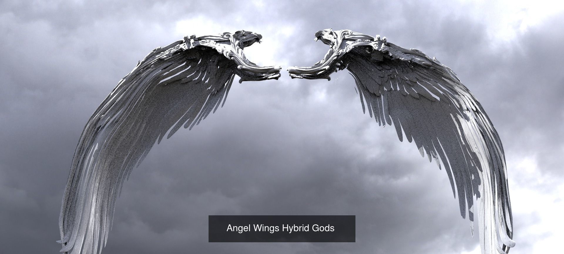 Angel Wings Collection 1 _20