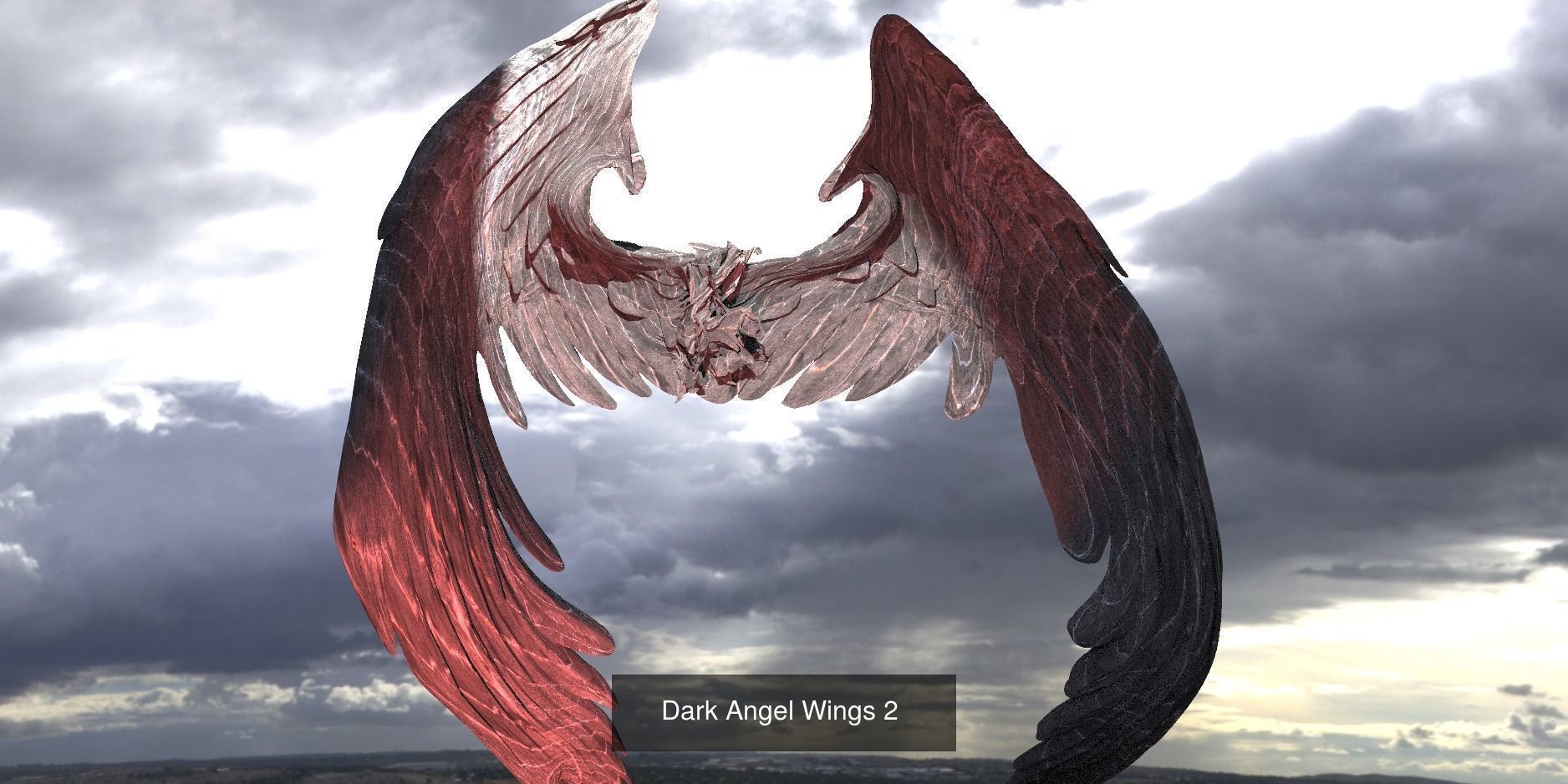 Angel Wings Collection 1 _17