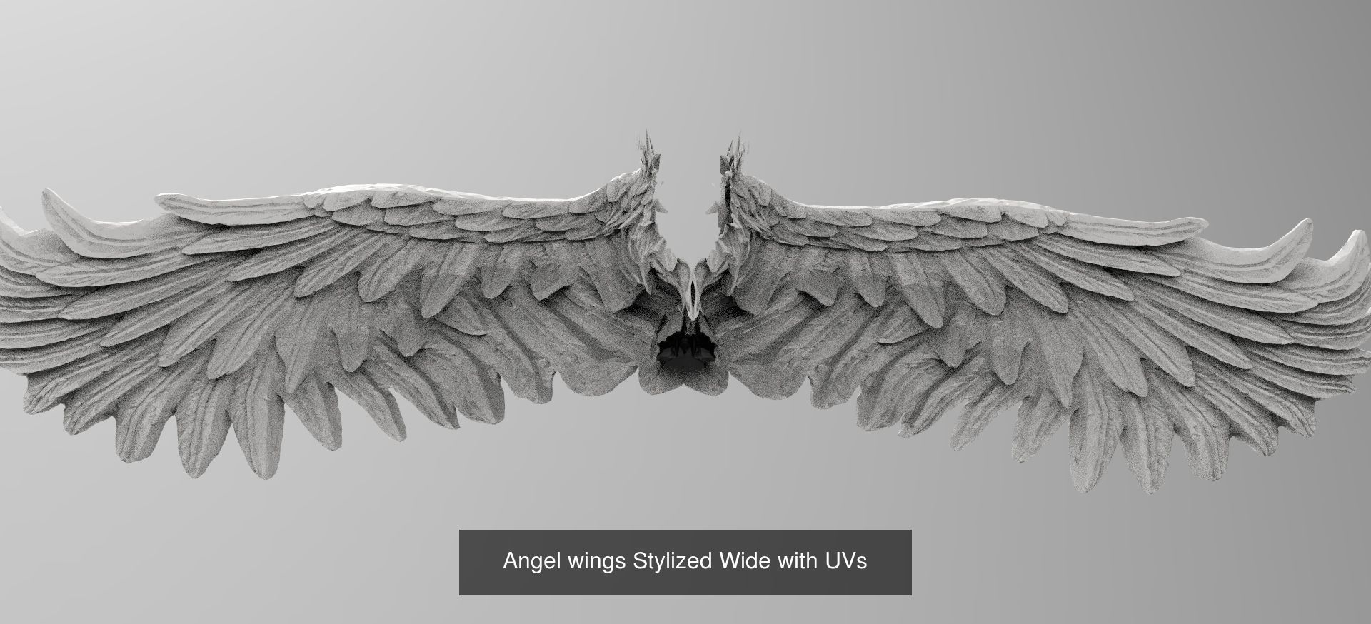 Angel Wings Collection 1 _7
