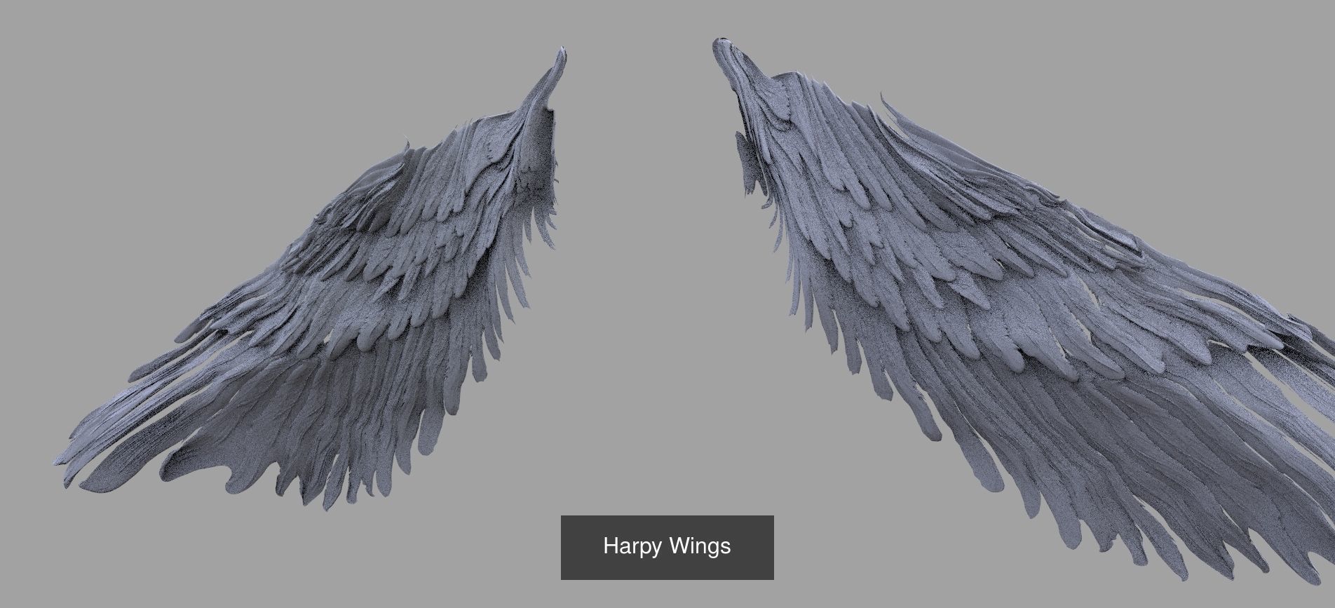 Angel Wings Collection 1 _5
