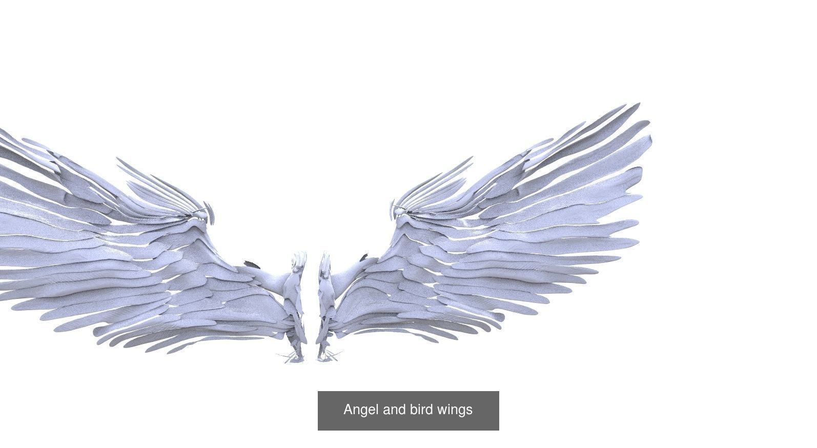 Angel Wings Collection 1 _6