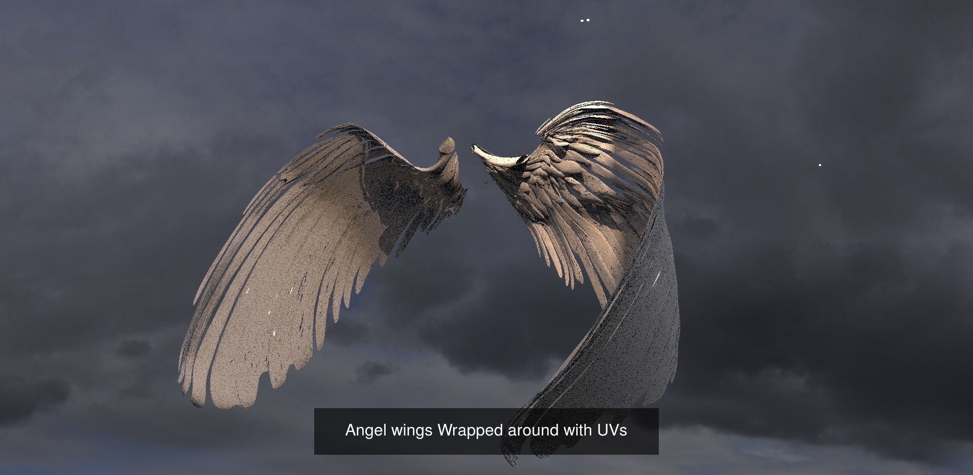 Angel Wings Collection 1 _13