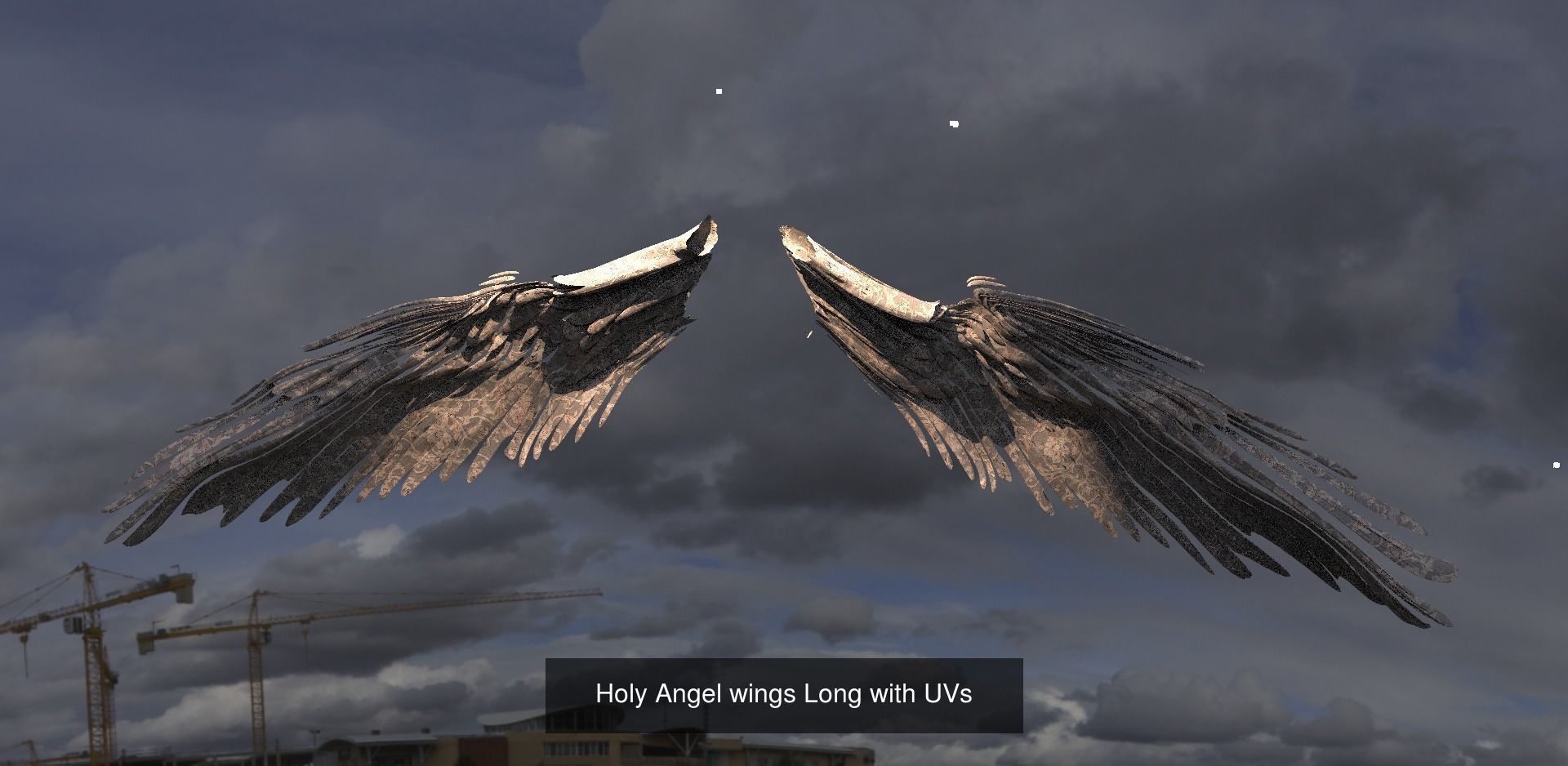 Angel Wings Collection 1 _12