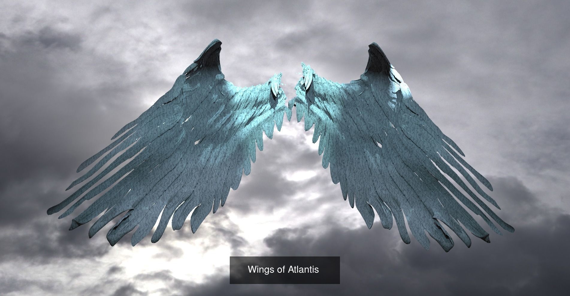 Angel Wings Collection 1 _19
